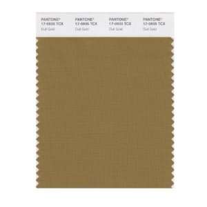  PANTONE SMART 17 0935X Color Swatch Card, Dull Gold: Home 