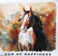 Sun of Happiness Paint American Indian Horse T Shirt M L XL 2XL Colors 