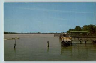 Postcard Moon Lake Scene Lula,Mississippi/MS  