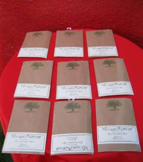 New 9 Nature Notes 100% Recycled Stationery Set Paper  