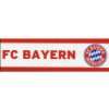 alenio 9101   alenio Wandtattoo   FC Bayern München Logo, 30x40 cm 
