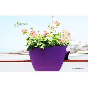 GREENBO XL Blumenkasten LILA aus Kunststoff   Balkonkasten 