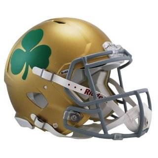  Notre Dame Fighting Irish NCAA Riddell Full Size Authentic 