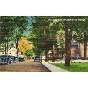 1940s Vintage Postcard Main Street Maplecrest New York