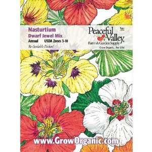  Nasturtium Seed Pack, Dwarf Jewel Mix Patio, Lawn 