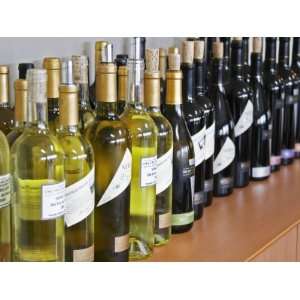  Bottles for Wine Tasting, Bodega Del Fin Del Mundo, the 