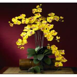  Phalaenopsis Silk Orchid Flower W/leaves 6 Stems)yellow 