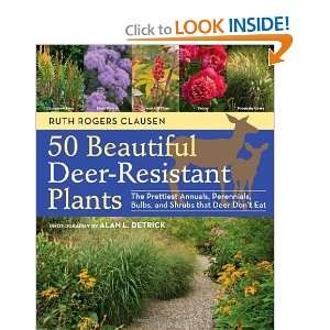 50 Beautiful Deer Resistant Plants The Prettiest Annuals, Perennials 