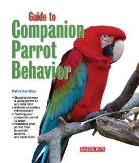 Good Bird A Guide to Solving Behavioral Pr