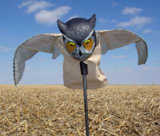 EDGE EXPEDITE PROWLER OWL DECOY CROW GARDEN SCARECROW 706069145217 
