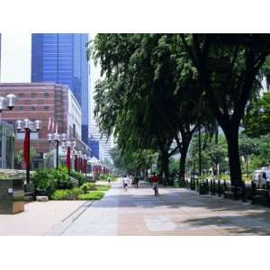  Orchard Road, One of the Main Shopping Areas in Singapore 
