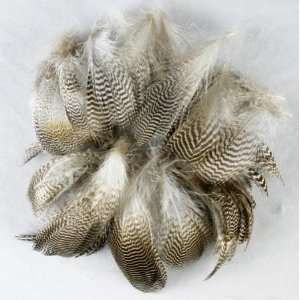   Duck Feather Barred Plumage Natural White/Black Fly/Fishing/Craft