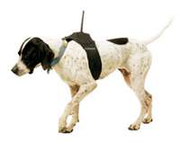   Treasure Hunting Store   Garmin Astro DC 30 GPS Dog Tracking System