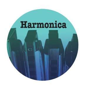  Harmonica Button