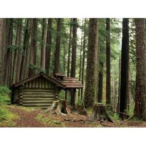 Rainforest and Sol Duc Shelter, Sol Duc Valley, Olympic National Park 