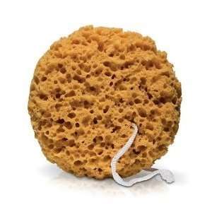  XEN TAN XEN TAN Body Sponge Beauty