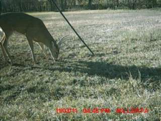   NEW MOULTRIE Pro Hunter Deer Feeder Kit + Game Spy D 50 Trail Camera
