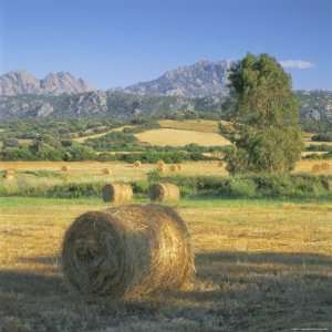  Straw Bales in Fields, Sardinia, Italy, Europe Stretched 