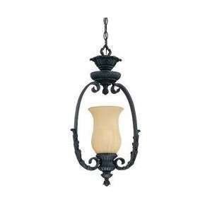   Light Outdoor Hanging Lantern, Slate Finish with Tuscan Glass Home